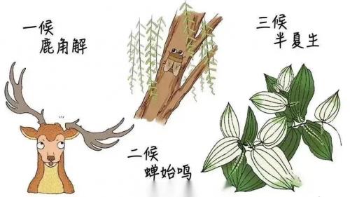 今日夏至|愿所有美好亦如約而至！