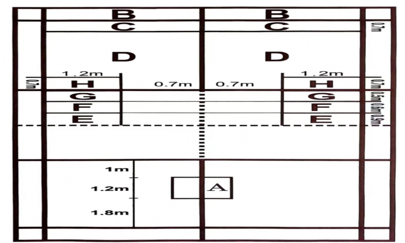 衡陽(yáng)幼兒師范高等?？茖W(xué)校2025年體育特長(zhǎng)生高職單招方案
