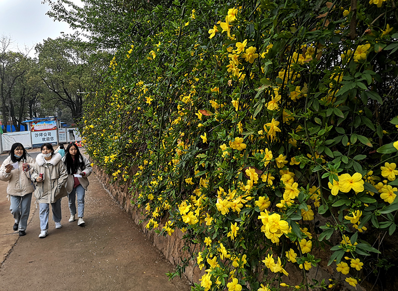 衡陽(yáng)幼高專：春色滿園迎開(kāi)學(xué)