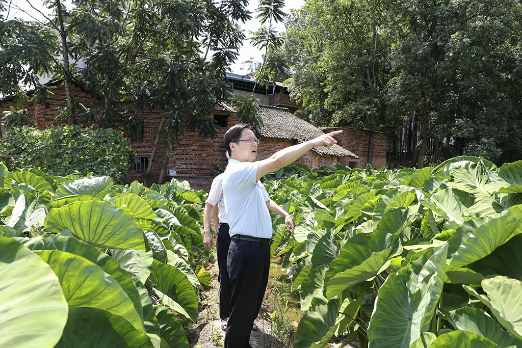 黨委書記李來清到常寧市同心村開展專題調(diào)研